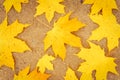 fall in the city. dry fallen autumn maple leaves on the asphalt in the city park. natural pattern. top view. Royalty Free Stock Photo
