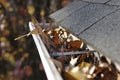 Fall Cleanup - Leaves in Gutter Royalty Free Stock Photo