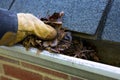 Fall Cleanup - Leaves in Gutter Royalty Free Stock Photo