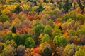 Fall Color Royalty Free Stock Photo