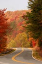 Fall Color Royalty Free Stock Photo