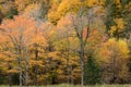 Fall color in Lake Placid NY Royalty Free Stock Photo