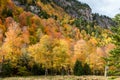 Fall color in Lake Placid NY Royalty Free Stock Photo