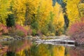 Fall color along the calm water of Nason Creek in the Washington Cascades Royalty Free Stock Photo