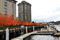 Fall Color, Autumn leaves in Coal Harbour, Downtown Vancouver, British Columbia