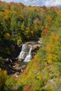 Fall Color in Blackwater Falls State Park Royalty Free Stock Photo