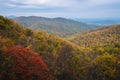 Fall color and Blue Ridge Mountains view from Skyline Drive in Shenandoah National Park, Virginia Royalty Free Stock Photo