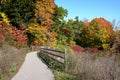 Fall color on Chorley Park to Beltline Trail, Toronto, Ontario Royalty Free Stock Photo