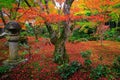 Fall color at Enkoji garden, Kyoto Royalty Free Stock Photo