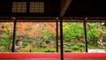 Fall color at Enkoji temple, Kyoto