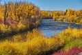 Autumn Along Kebler Pass Royalty Free Stock Photo