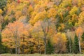 Fall color in Lake Placid NY Royalty Free Stock Photo