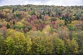 Colorful Fall Foliage on a Maine Hillside Royalty Free Stock Photo