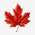 Fall color maple leaf clip art illustration Royalty Free Stock Photo