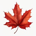 Fall color maple leaf clip art illustration Royalty Free Stock Photo