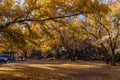 Fall Color In Oak Creek Canyon In Sedona Royalty Free Stock Photo