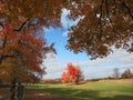 Fall color at Oatlands Royalty Free Stock Photo