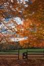 Fall color at Oatlands Royalty Free Stock Photo
