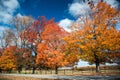 Fall color at Oatlands Royalty Free Stock Photo