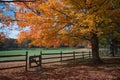 Fall color at Oatlands Royalty Free Stock Photo