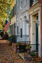 Fall color and row houses in Old Town, Alexandria, Virginia Royalty Free Stock Photo