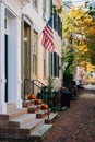 Fall color and row houses in Old Town, Alexandria, Virginia Royalty Free Stock Photo