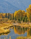 Fall Color at Schwabacher Landing Royalty Free Stock Photo