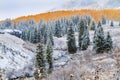 Fall Color and Snow in Colorado Royalty Free Stock Photo