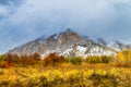 Fall Color and Snow in Colorado Royalty Free Stock Photo