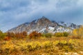 Fall Color and Snow in Colorado Royalty Free Stock Photo