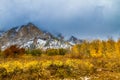 Fall Color and Snow in Colorado Royalty Free Stock Photo