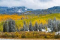 Fall Color and Snow in Colorado Royalty Free Stock Photo