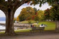 Fall color at Stanley Park Royalty Free Stock Photo