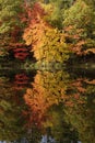 Fall color - Three Lakes area