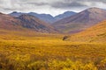 Fall color Tombstone Territorial Park Yukon Canada