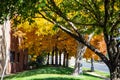 Fall in Colorado, Teller County