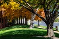 Fall in Colorado, Teller County