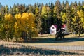 Fall Colored Aspens Near Divide Colorado Royalty Free Stock Photo