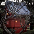 Fall-colored Japanese maple leaves in autumn hang on a bare tree with a traditional temple structure in the background at Senso-ji Royalty Free Stock Photo