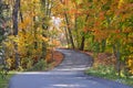 A fall Colored Road Royalty Free Stock Photo