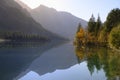 Fall colored trees at lake plansee with mountain reflections