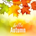 Autumn maple leaves on bokeh background