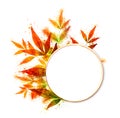 Fall colorful nandina bamboo leaf around a white circle label