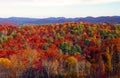 Fall colors Royalty Free Stock Photo