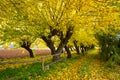 FALL COLORS IN ABRUZZO