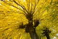 FALL COLORS IN ABRUZZO