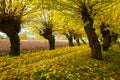 FALL COLORS IN ABRUZZO