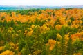 Fall colors Algonquin Park, Ontario, Canada. Royalty Free Stock Photo