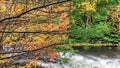 Fall colors Algonquin Park, Ontario, Canada Royalty Free Stock Photo