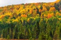 Fall colors Algonquin Park, Ontario, Canada Royalty Free Stock Photo